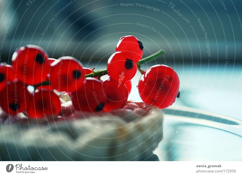 summertime Colour photo Macro (Extreme close-up) Morning Fruit Relaxation To enjoy Esthetic Cold Delicious Thin Sweet Red