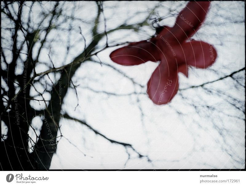 Red butterfly in tristess Colour photo Morning Art Sculpture Environment Nature Winter Bad weather Tree Park Butterfly To fall Flying Hang Esthetic Simple