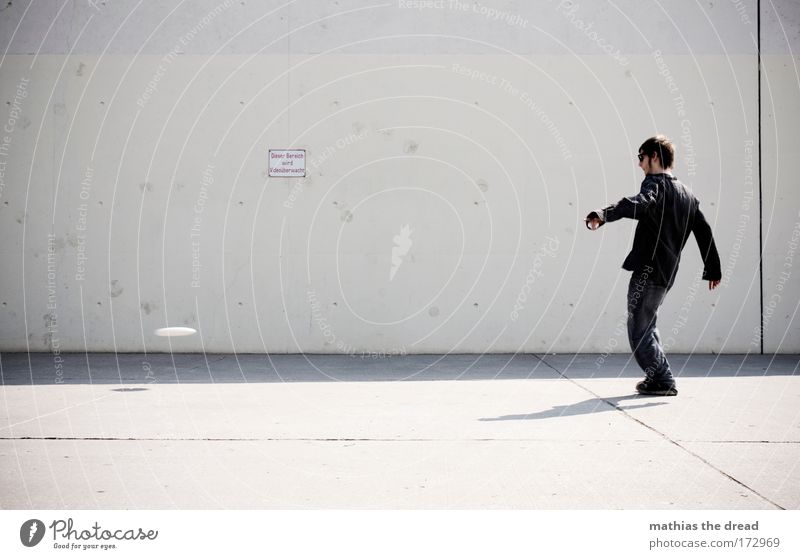 low-flying aircraft Colour photo Subdued colour Exterior shot Structures and shapes Copy Space left Neutral Background Day Shadow Contrast Sunlight Motion blur