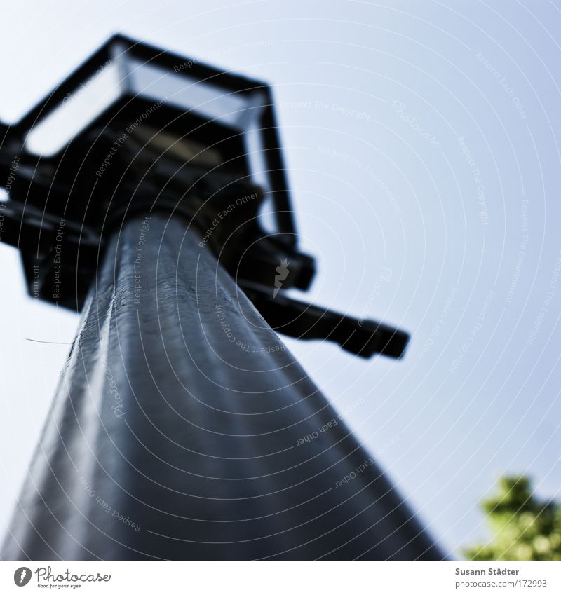 light source Colour photo Exterior shot Detail Deserted Copy Space right Copy Space top Copy Space bottom Day Contrast Worm's-eye view Style Design Lamp