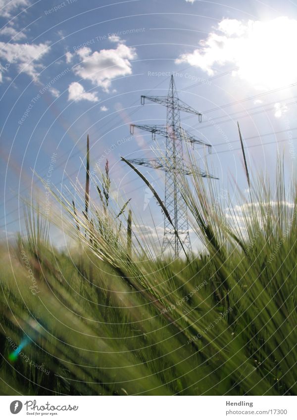 The mast stands firm Electricity pylon the sun is shining the wind blows the field is shaken up