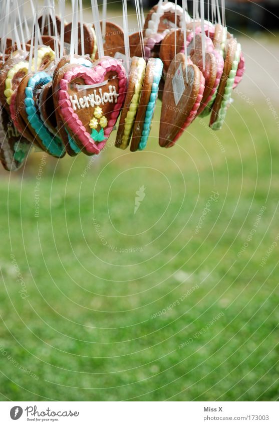 my darling Colour photo Multicoloured Exterior shot Detail Deserted Shallow depth of field Food Dough Baked goods Candy Nutrition Event Feasts & Celebrations