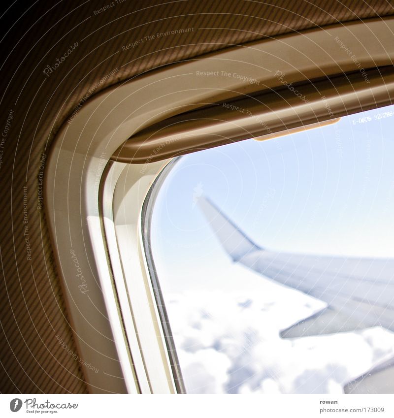 above the clouds Colour photo Subdued colour Interior shot Day Aviation Airplane Passenger plane In the plane View from the airplane Flying Freedom