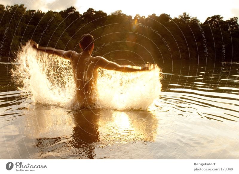 water angels Vacation & Travel Freedom Summer vacation Sun Aquatics Human being Young man Youth (Young adults) Body Back Arm 1 Nature Water Drops of water