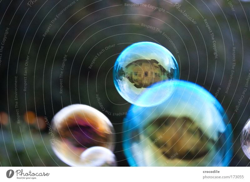 soap bubbles Colour photo Exterior shot Detail Macro (Extreme close-up) Aerial photograph Deserted Copy Space left Twilight Blur Shallow depth of field