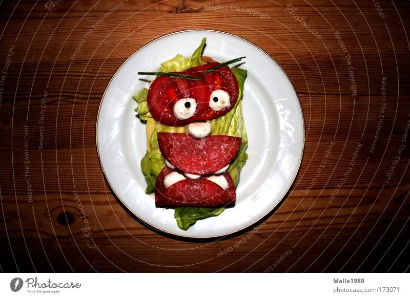 plate monster Colour photo Multicoloured Interior shot Deserted Portrait photograph Looking into the camera Food Sausage Cheese Dairy Products Vegetable Grain