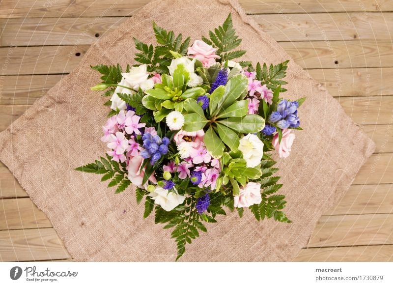 bouquet Bouquet Flower Blossom Phlox Pink Fern Baby's-breath Rose Veronica Bird's eye honorary prize Birthday Valentine's Day Father's Day Gift Isolated Image