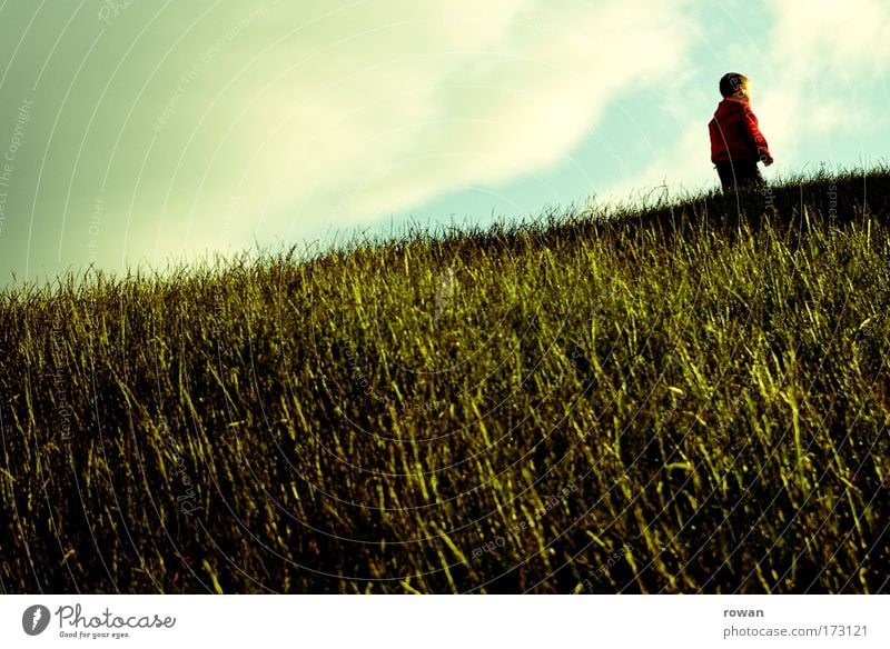 uphill Colour photo Exterior shot Day Human being Masculine Child Toddler Boy (child) Clouds Grass Park Meadow Going Red Green Playing