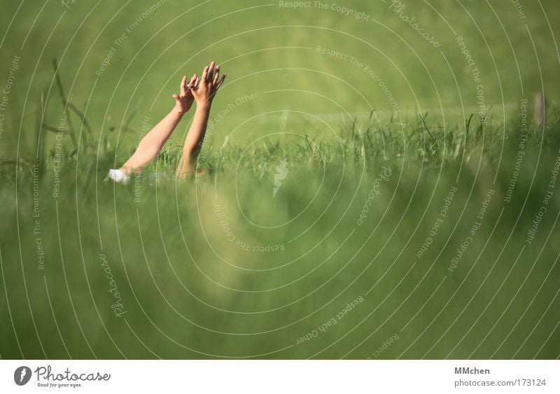 feel the wind Exterior shot Copy Space right Copy Space bottom Copy Space middle Day Well-being Contentment Relaxation Playing Infancy Arm Hand Environment