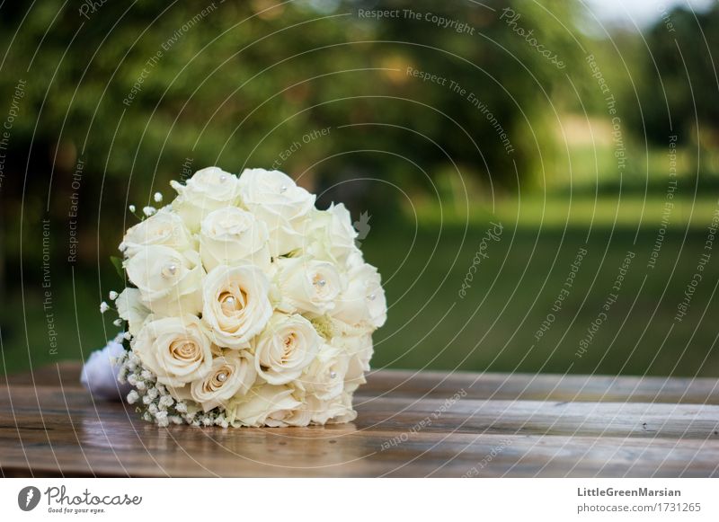 The bride's bouquet [1] Environment Nature Plant Flower Grass Bushes Rose Blossom Garden Park Wood Esthetic Elegant Glittering Bright Beautiful Multicoloured