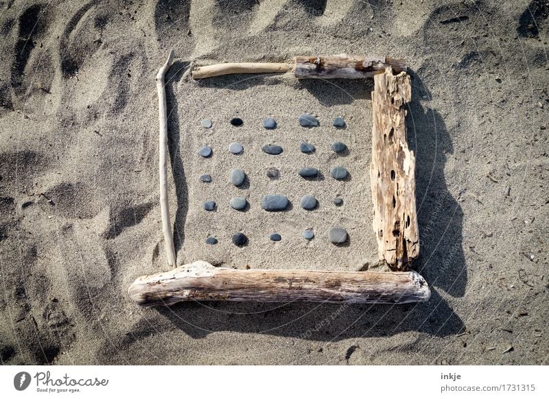 driftwood, stones, sand, sun Leisure and hobbies Vacation & Travel Summer Sun Beach Sand Beautiful weather Sandy beach Driftwood Pebble Stone Wood Line Square