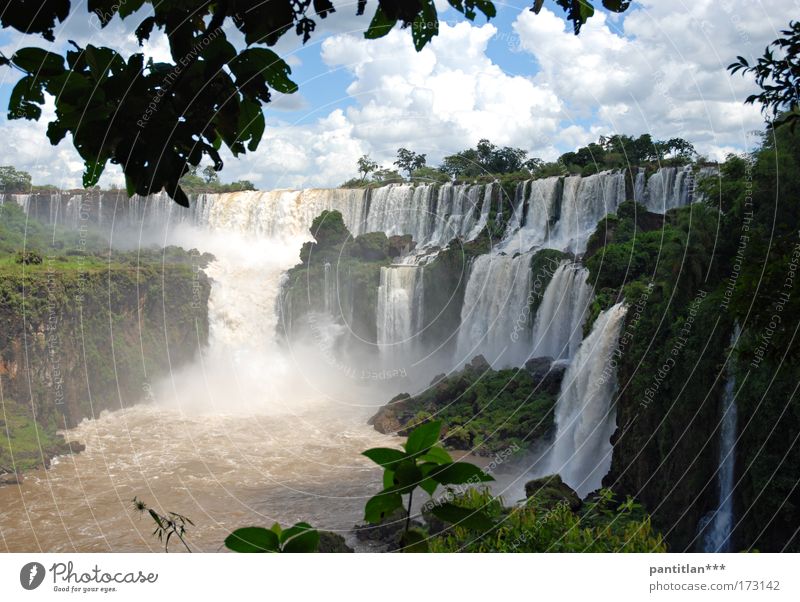 Cascadas Vacation & Travel Tourism Brazil Iguazu Falls paraguay jungles South America Nature Landscape Plant Elements Water Sky Clouds Virgin forest River