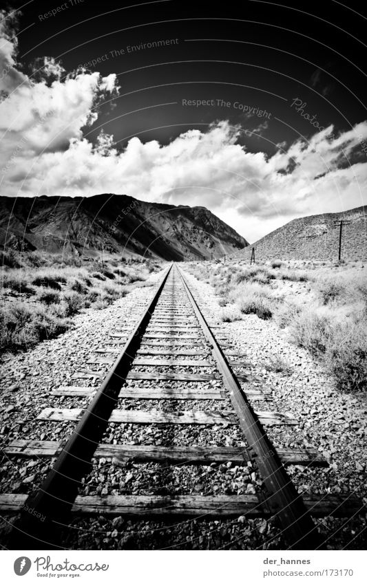 A straight bend, a straight bend. Black & white photo Exterior shot Experimental Deserted Copy Space top Light Shadow Contrast Silhouette Deep depth of field