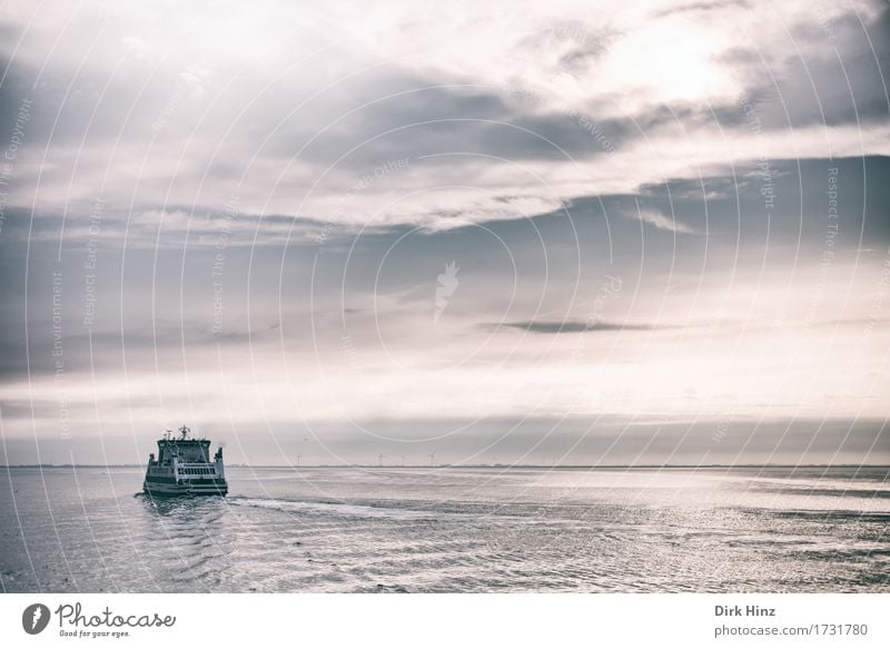 Evening ferry to Amrum Lifestyle Vacation & Travel Tourism Trip Far-off places Freedom Cruise Summer Summer vacation Sun Ocean Island Waves Environment Nature