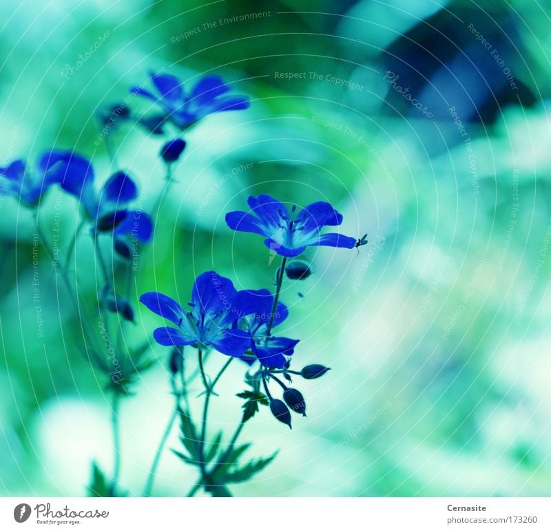 Astral Power Colour photo Exterior shot Close-up Abstract Deserted Day Shadow Contrast Light (Natural Phenomenon) Sunlight Blur Shallow depth of field