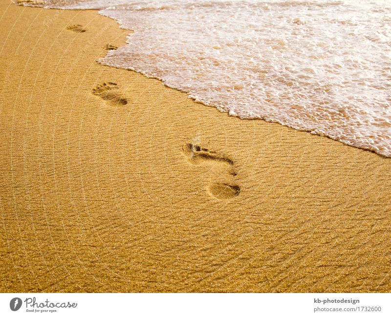 Footprints at the beach Relaxation Vacation & Travel Far-off places Summer Summer vacation Beach Sand Going To enjoy wave waves foam spum sunny stressed