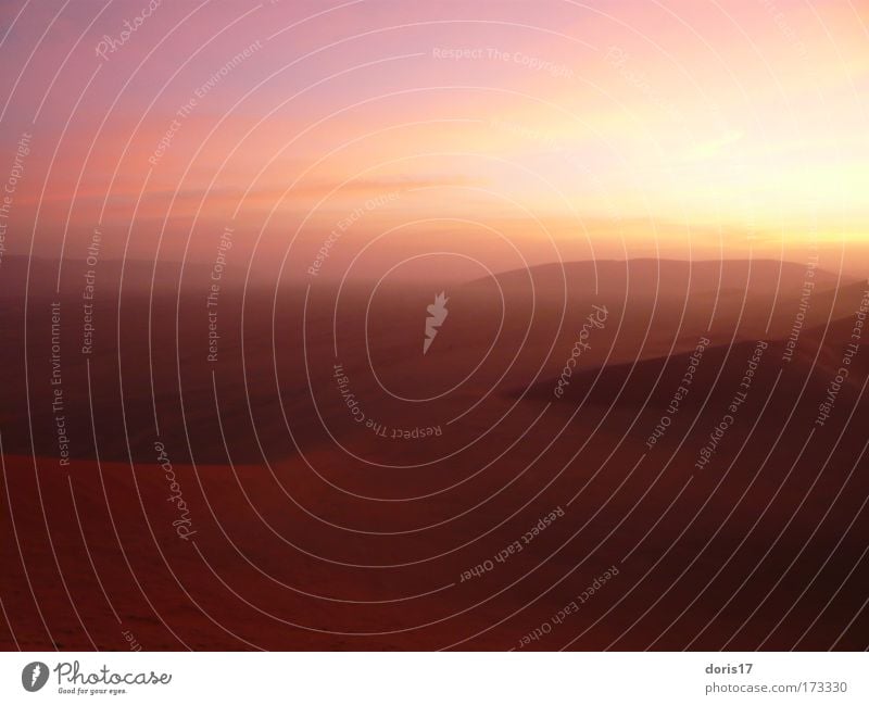 Namib Dessert Colour photo Exterior shot Deserted Copy Space right Copy Space bottom Dawn Light Shadow Light (Natural Phenomenon) Sunlight Sunbeam Sunrise