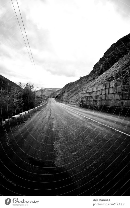 zapp Black & white photo Exterior shot Experimental Copy Space top Copy Space bottom Day Light Shadow Contrast Central perspective Wide angle Environment Nature