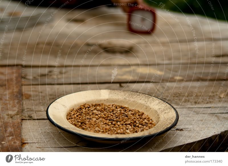 PopCorn Colour photo Exterior shot Close-up Detail Deserted Copy Space middle Day Blur Shallow depth of field Central perspective Food Grain Popcorn Nutrition