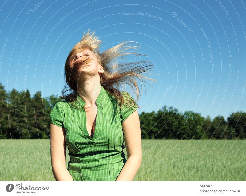 lady shake Colour photo Subdued colour Exterior shot Copy Space right Neutral Background Day Contrast Sunlight Deep depth of field Central perspective Long shot