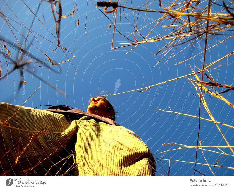 confined Colour photo Exterior shot Day Shadow Worm's-eye view Forward Upward Looking away Human being Masculine Young man Youth (Young adults) Head