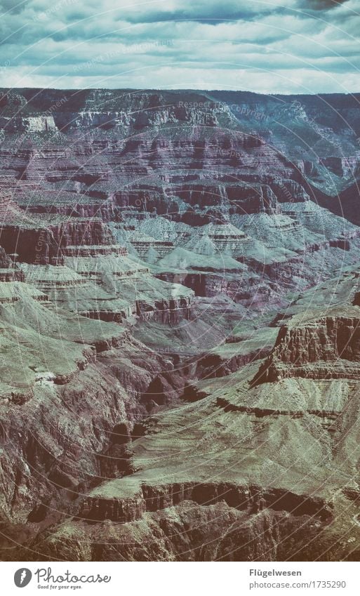 Beautiful America (u) Sky Clouds Day Shadow Mountain Grand Canyon Americas USA Landscape Plant Animal Vantage point Far-off places Deserted Bushes