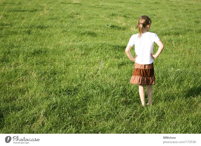 I'm standing here, fideldum. Colour photo Exterior shot Copy Space left Day Playing Adventure Feminine Child Infancy 1 Human being 3 - 8 years Nature Summer