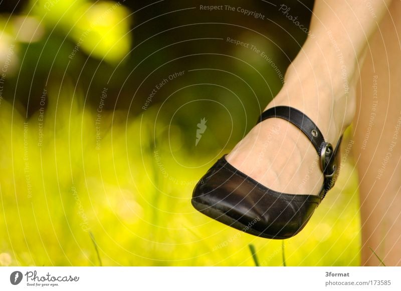 SLICKER SHOE Colour photo Multicoloured Exterior shot Detail Copy Space left Neutral Background Day Contrast Sunlight Blur Shallow depth of field Long shot