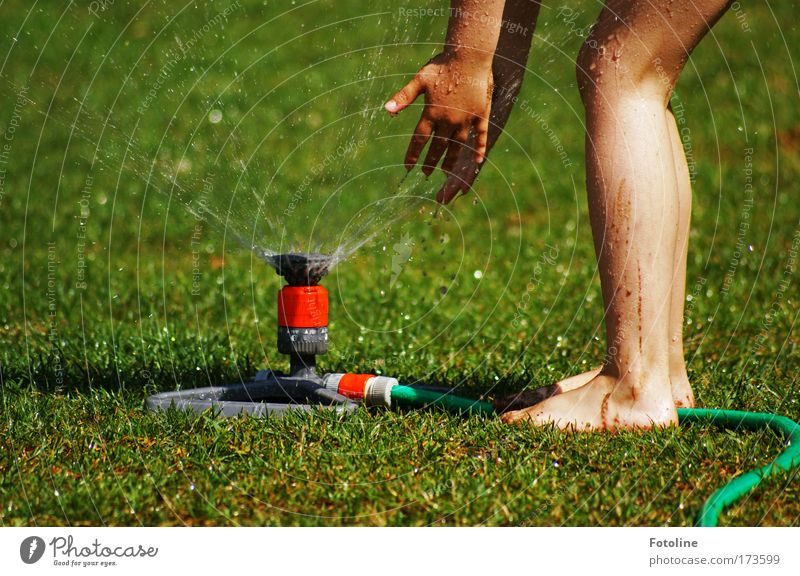 water feature Colour photo Multicoloured Exterior shot Day Human being Girl Arm Hand Fingers Legs Feet 1 3 - 8 years Child Infancy Environment Nature Plant