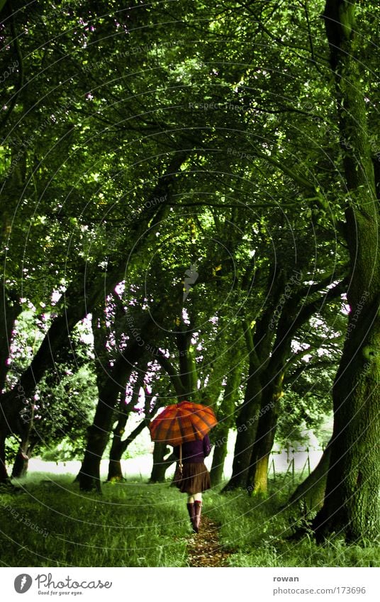 rain walk Colour photo Multicoloured Exterior shot Day Human being Feminine Young woman Youth (Young adults) Woman Adults 1 Nature Landscape Drops of water