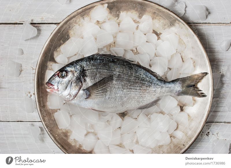 Dorado fish on the metal plate with ice Fish Seafood Nutrition Plate Table Wood Metal Fresh Black White background cooking Dish Food Ingredients Preparation Raw