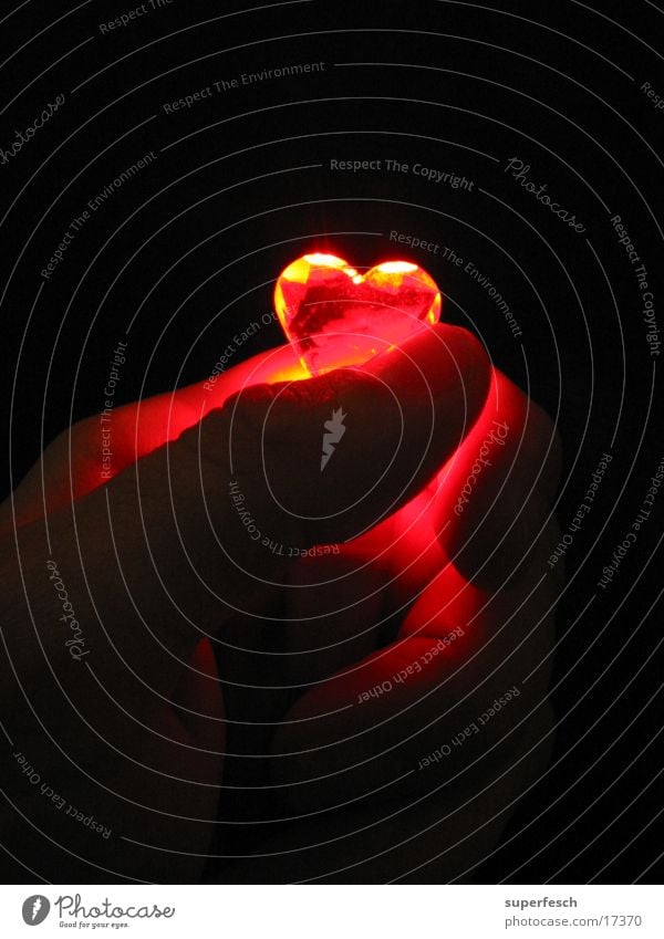 Let Love Rule (1) Physics Fingers Hand To hold on Heart Lamp Warmth