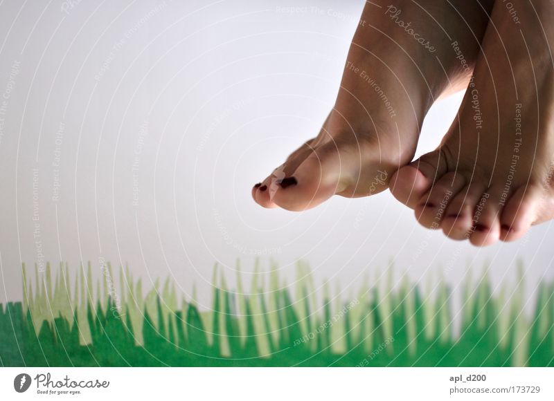 After pedal Colour photo Interior shot Copy Space left Shallow depth of field Human being Feminine Feet 1 Environment Nature Grass Flying Esthetic Authentic