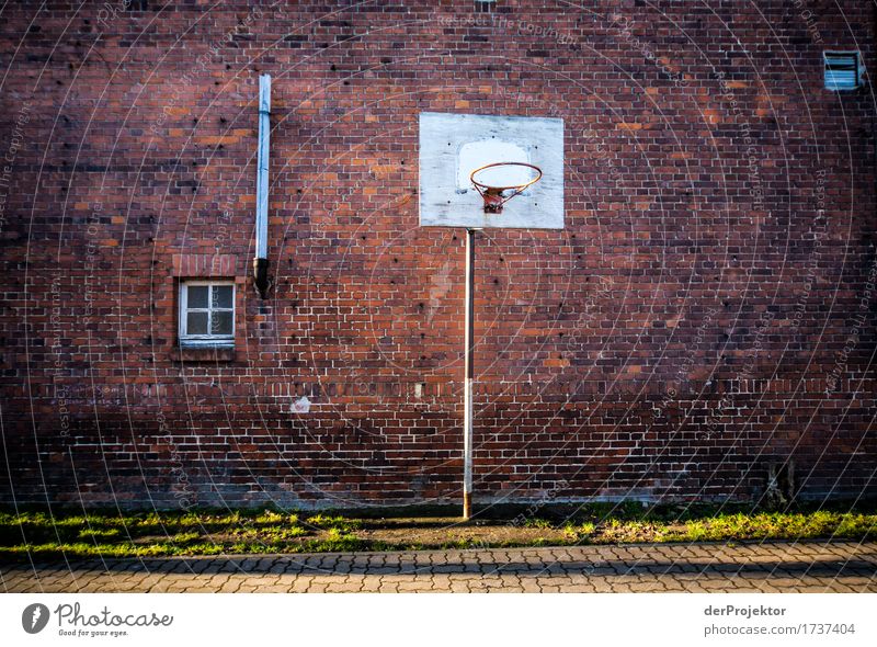 Break fun guaranteed Playing Education Science & Research School Study School building Schoolyard Professional training Environment Beautiful weather Small Town