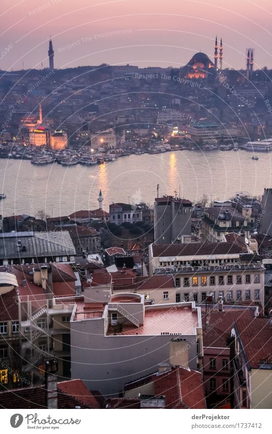 View of mosques in Istanbul IV Evening Blue Historic Hill Turkey Mosque Blue Mosque Religion and faith Europe Minaret Panorama (View) Sunset Artificial light