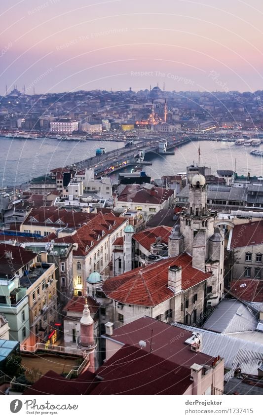 Evening mood on the Bosporus Vacation & Travel Far-off places Freedom Sightseeing City trip Capital city Port City Downtown Overpopulated