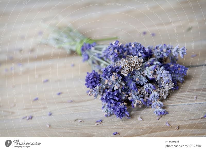 Lavender on wooden board floats Table Flower Blossom Violet Fragrance Odor sniffing Wooden table Board Comforting Medicinal plant Medication Soul angustifolia