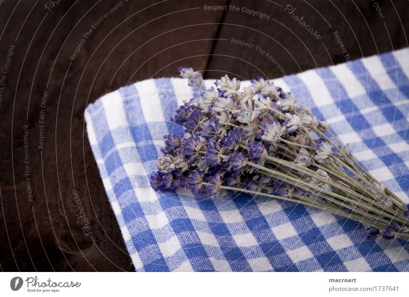 lavender Lavender floats Table Flower Blossom Bouquet Violet Fragrance Odor sniffing Wooden table Board Comforting Medicinal plant Medication