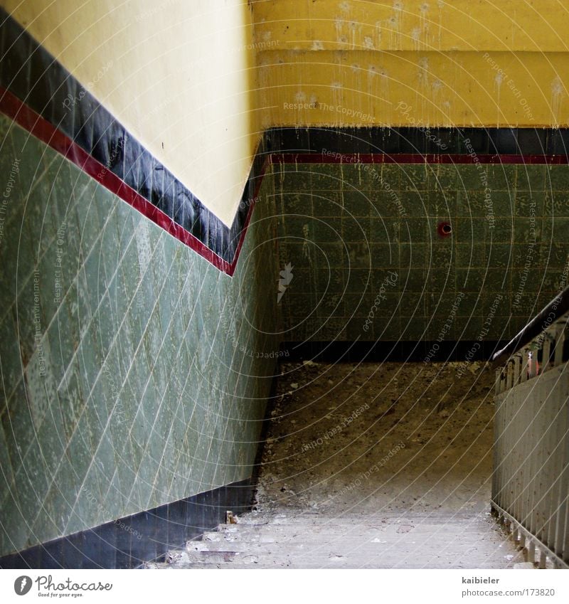 Go out! Colour photo Subdued colour Interior shot Deserted Copy Space left Copy Space middle Stairs Staircase (Hallway) Banister Harz Saxony-Anhalt Ruin