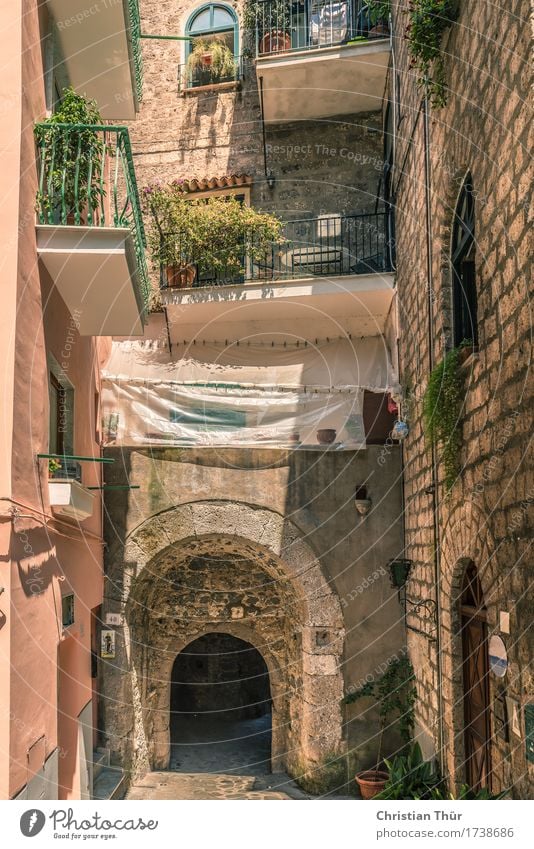 Streets of Sorrento Vacation & Travel Trip City trip Cruise Summer Summer vacation Living or residing Flat (apartment) Redecorate Plant Foliage plant Italy