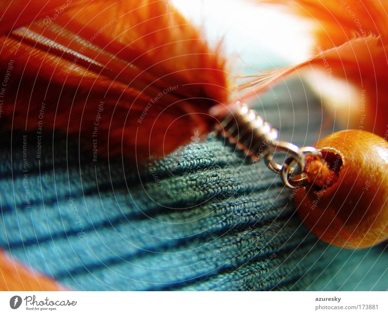 feather Colour photo Close-up Detail Macro (Extreme close-up) Structures and shapes Blur Deep depth of field Accessory Jewellery Feather Cloth Pearl Wood Metal