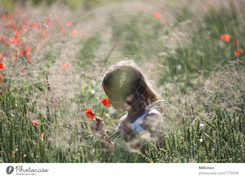 i schenk´ today you a flowery one Colour photo Exterior shot Day Contentment Fragrance Summer Child Girl Infancy 1 Human being Nature Flower Agricultural crop