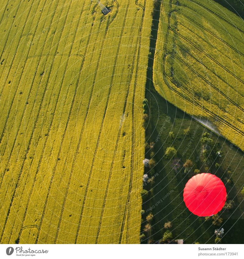 HOT BUTTON Colour photo Multicoloured Exterior shot Pattern Structures and shapes Deserted Copy Space left Copy Space top Copy Space bottom Copy Space middle