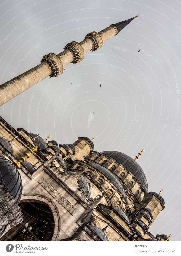 slanting Architecture Culture Istanbul Capital city Downtown Deserted Church Tower Tourist Attraction Landmark Mosque Stone Yellow Gray Black Minaret Domed roof