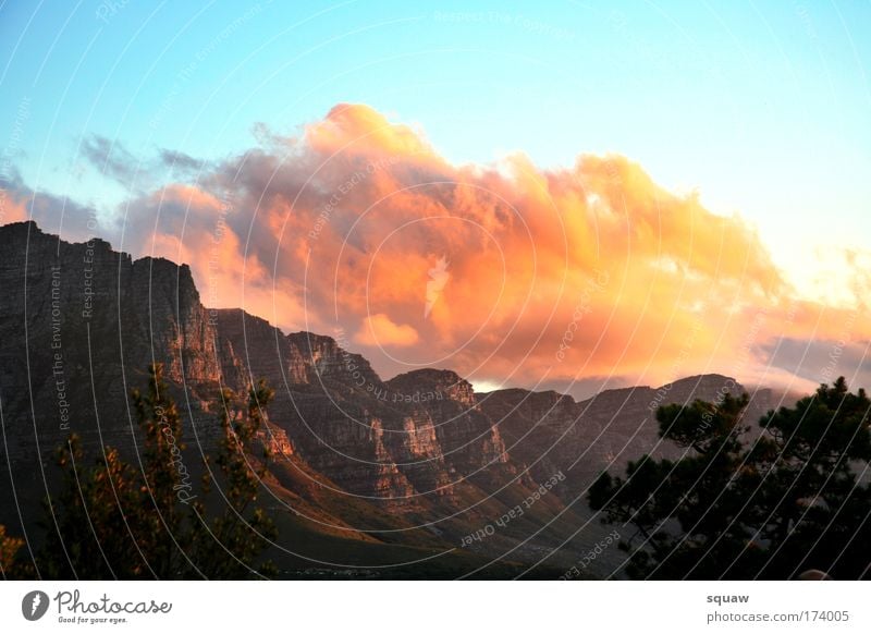 cloud Colour photo Multicoloured Exterior shot Deserted Copy Space top Evening Twilight Light Shadow Contrast Light (Natural Phenomenon) Sunlight Sunrise Sunset