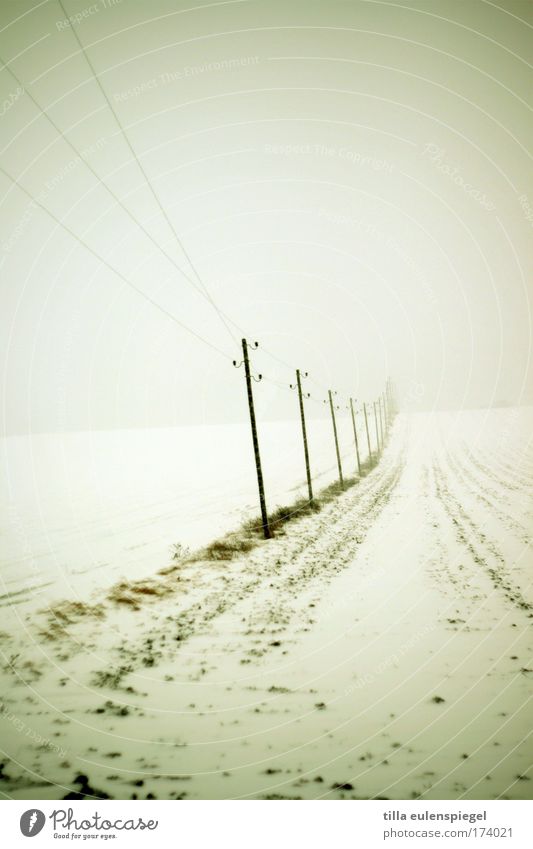 l l l Subdued colour Exterior shot Experimental Deserted Dawn Cable Landscape Bad weather Fog Ice Frost Snow Field Authentic Cold Minimalistic