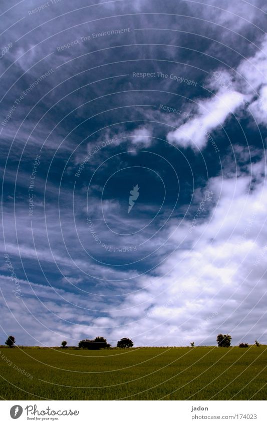 partly cloudy Colour photo Exterior shot Deserted Day Nature Landscape Plant Earth Sky Clouds Summer Tree Field Relaxation Looking Infinity Blue Patient Climate