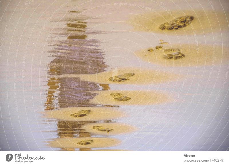 Coming and going Human being Masculine Adults Body Feet Footprint 1 45 - 60 years Beach Sandy beach Water Mud flats Low tide Going Maritime Wet Blue Brown