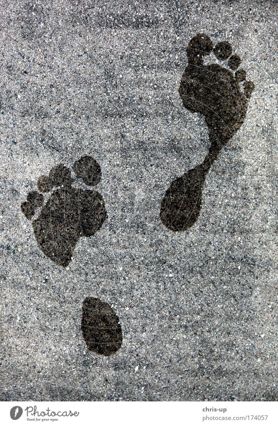 Barefoot in summer Colour photo Subdued colour Exterior shot Close-up Detail Abstract Pattern Structures and shapes Deserted Neutral Background Day