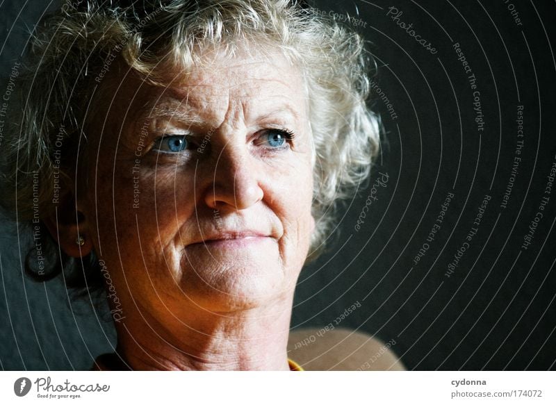 Blue eyes Colour photo Interior shot Close-up Detail Copy Space right Copy Space bottom Neutral Background Day Light Shadow Contrast Deep depth of field